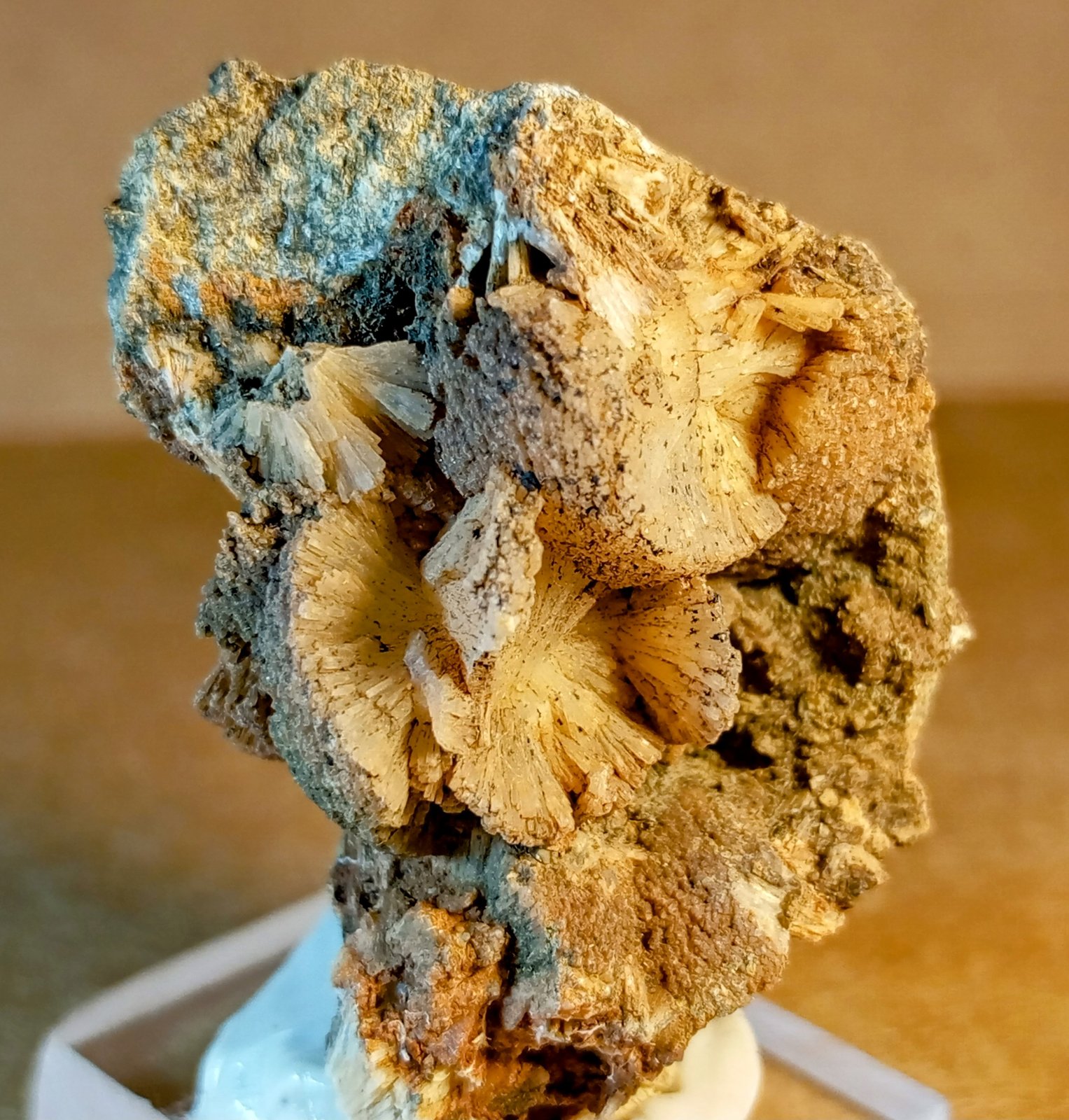 Prehnita
4 x 3 cm.
(Autor: Felipe Abolafia)