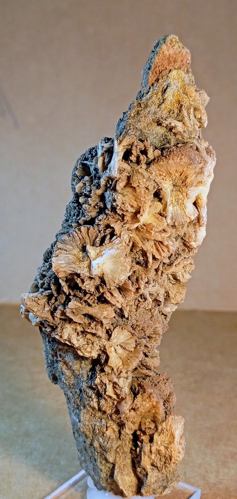 Prehnita
11 x 4 cm.
(Autor: Felipe Abolafia)