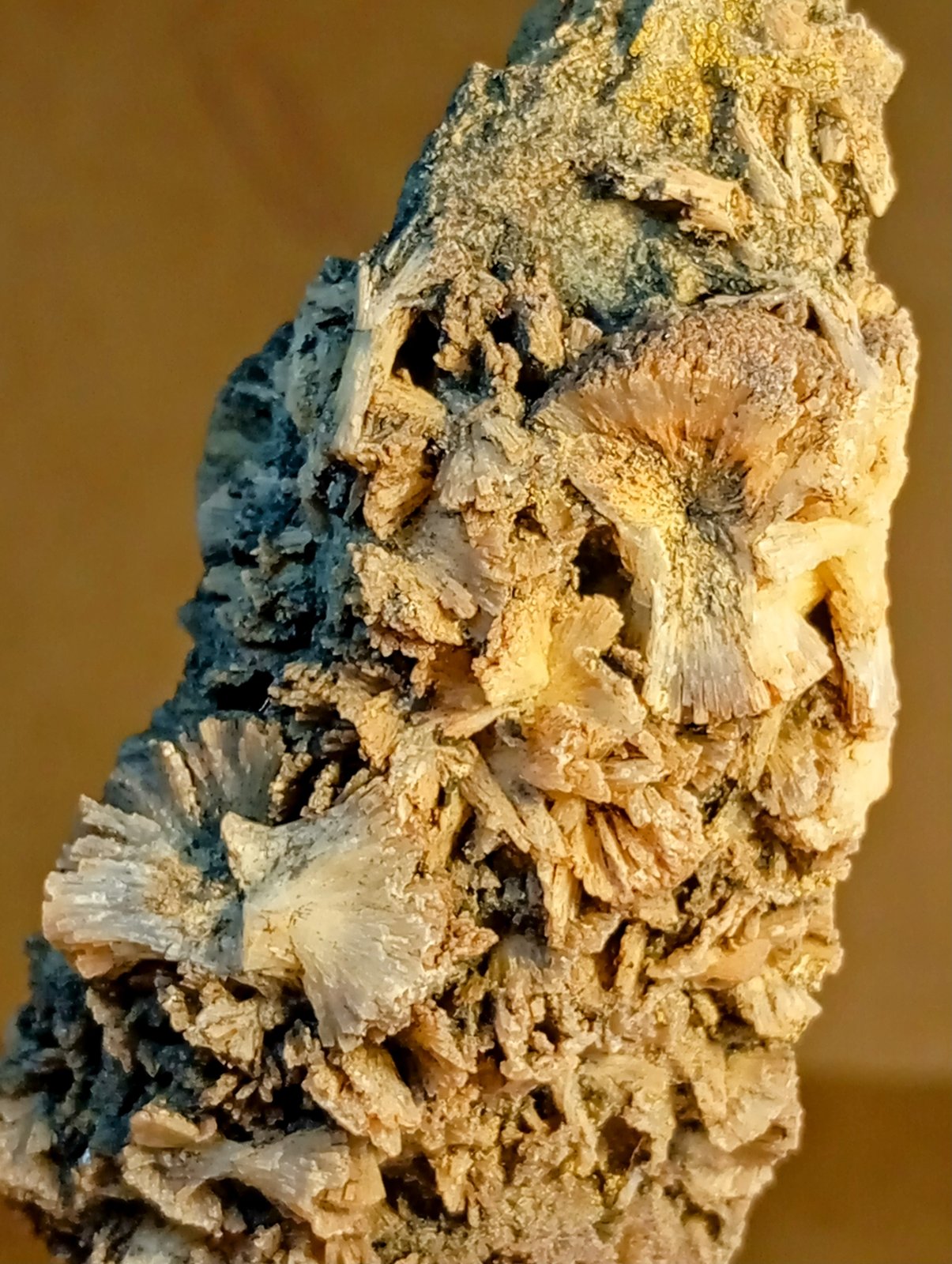 Prehnita
11 x 4 cm.
(Autor: Felipe Abolafia)