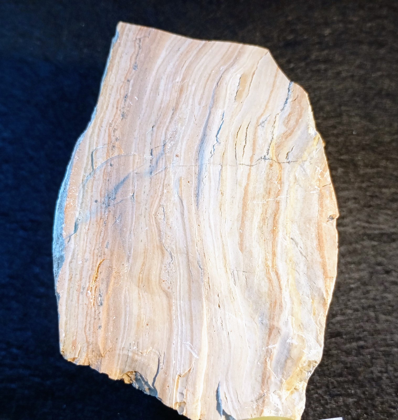 Caliza
10 x 6,5 x 6 cm.
(Autor: Felipe Abolafia)