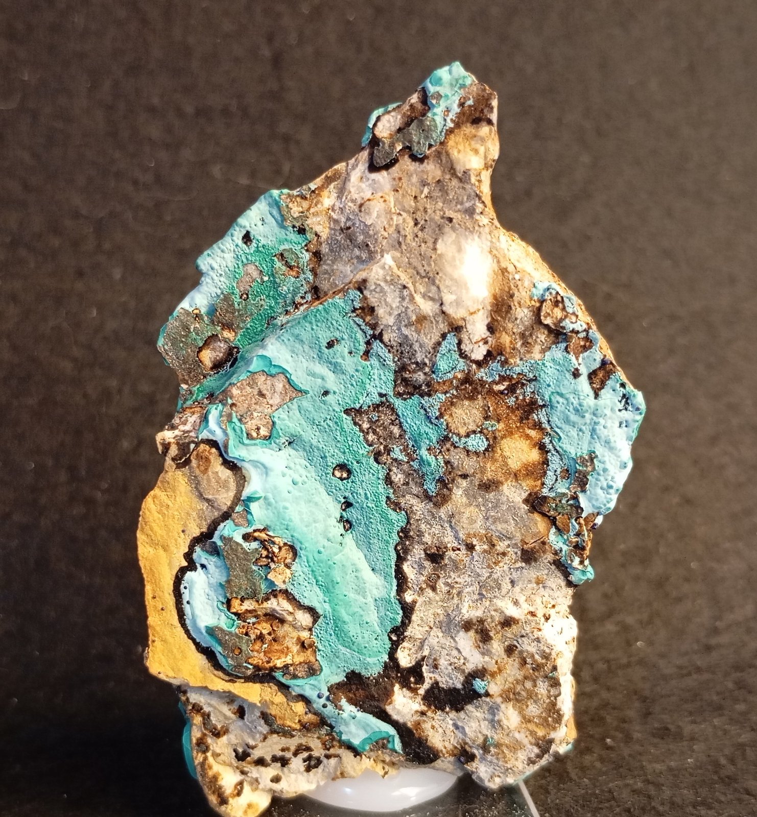 Malaquita
4,5 x 7 cm.
(Autor: Felipe Abolafia)