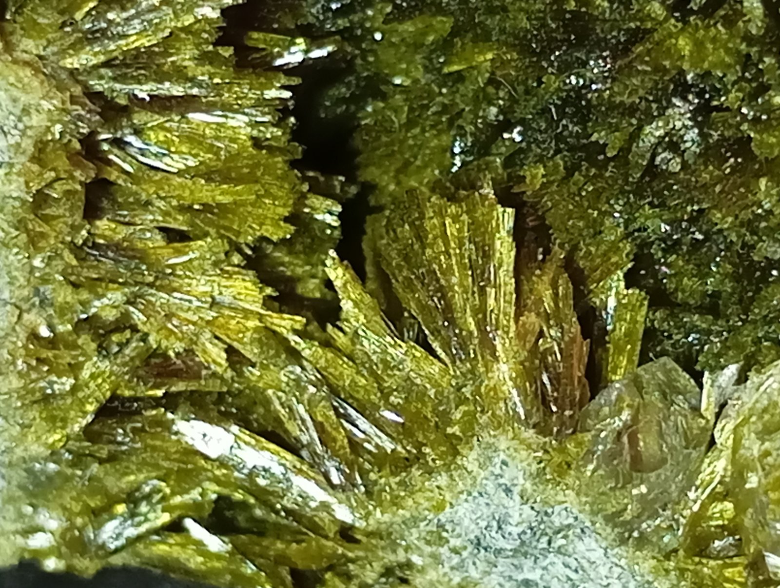 Epidota
4,5 x 4 cm.
(Autor: Felipe Abolafia)