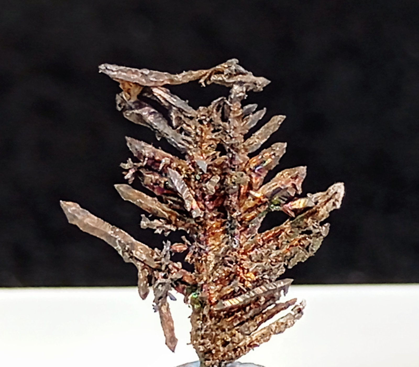 Plata
1,5 x 1 cm.
(Autor: Felipe Abolafia)
