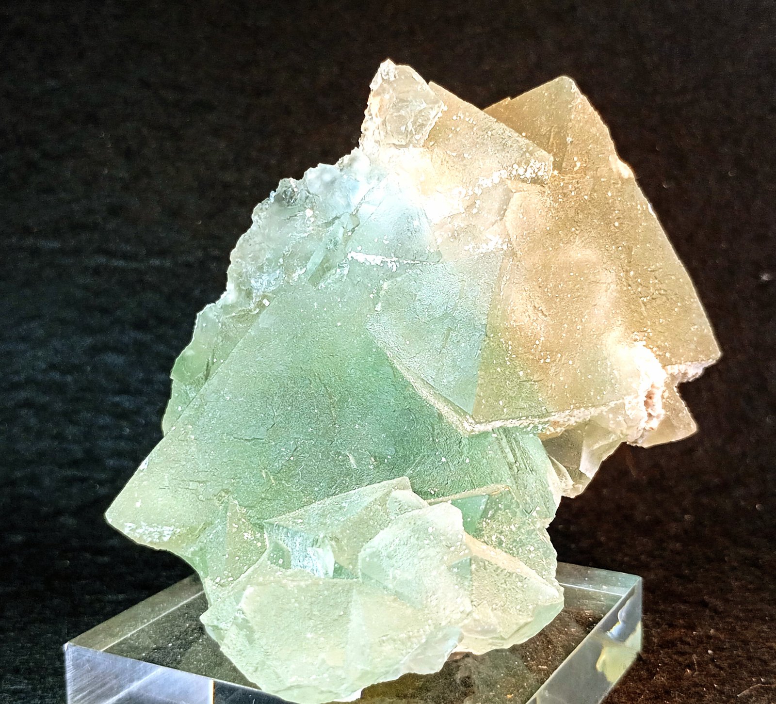 Fluorita
8 x 7 cm.
(Autor: Felipe Abolafia)