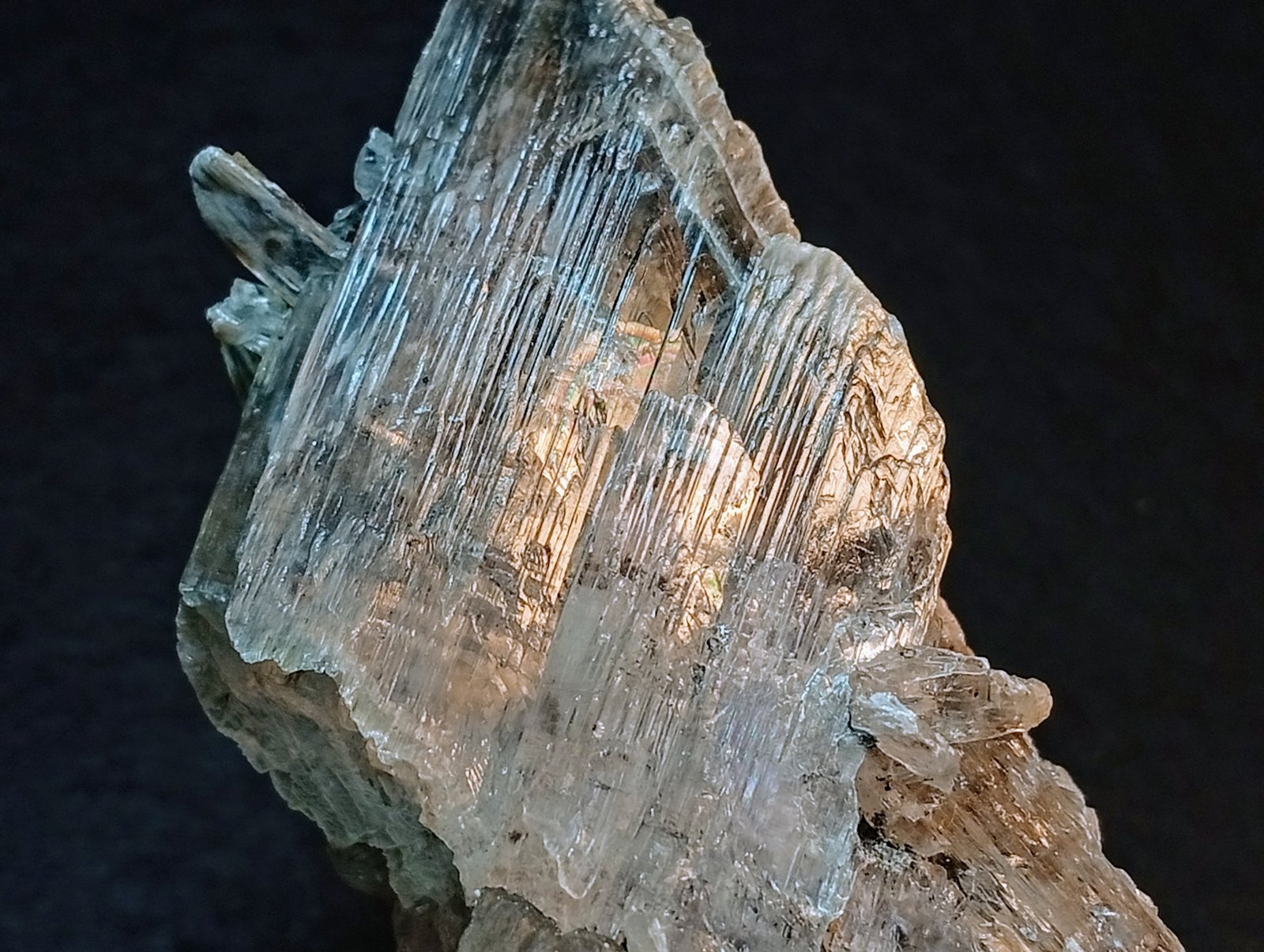 Yeso
10 x 4 cm.
(Autor: Felipe Abolafia)