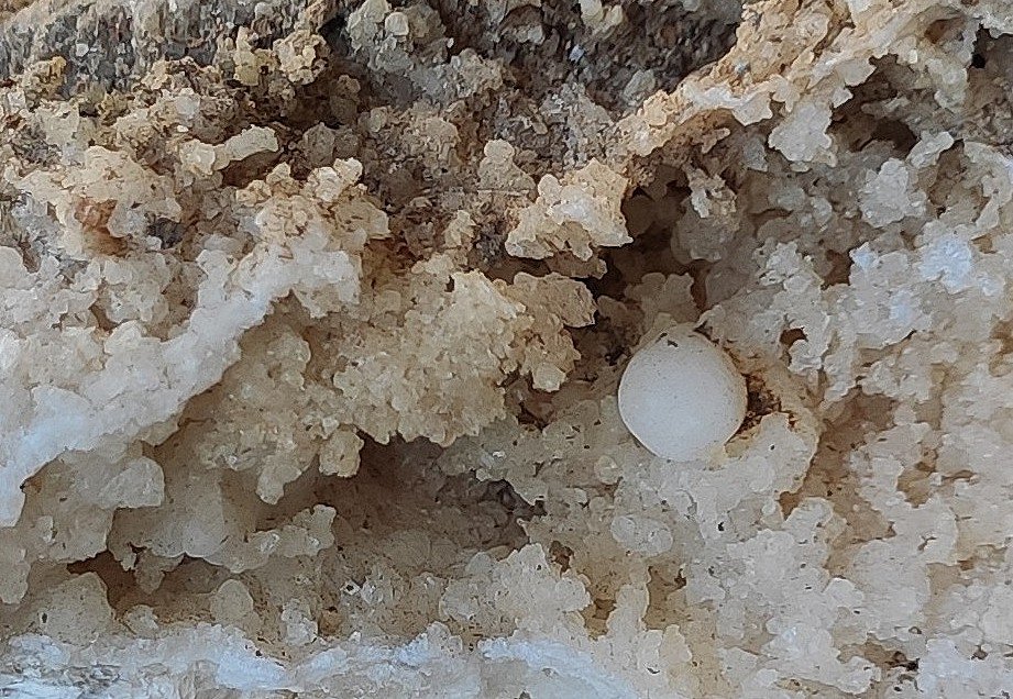 Aragonito
4 x 3,1 x 3 cm
(Autor: Anisio Claudio)