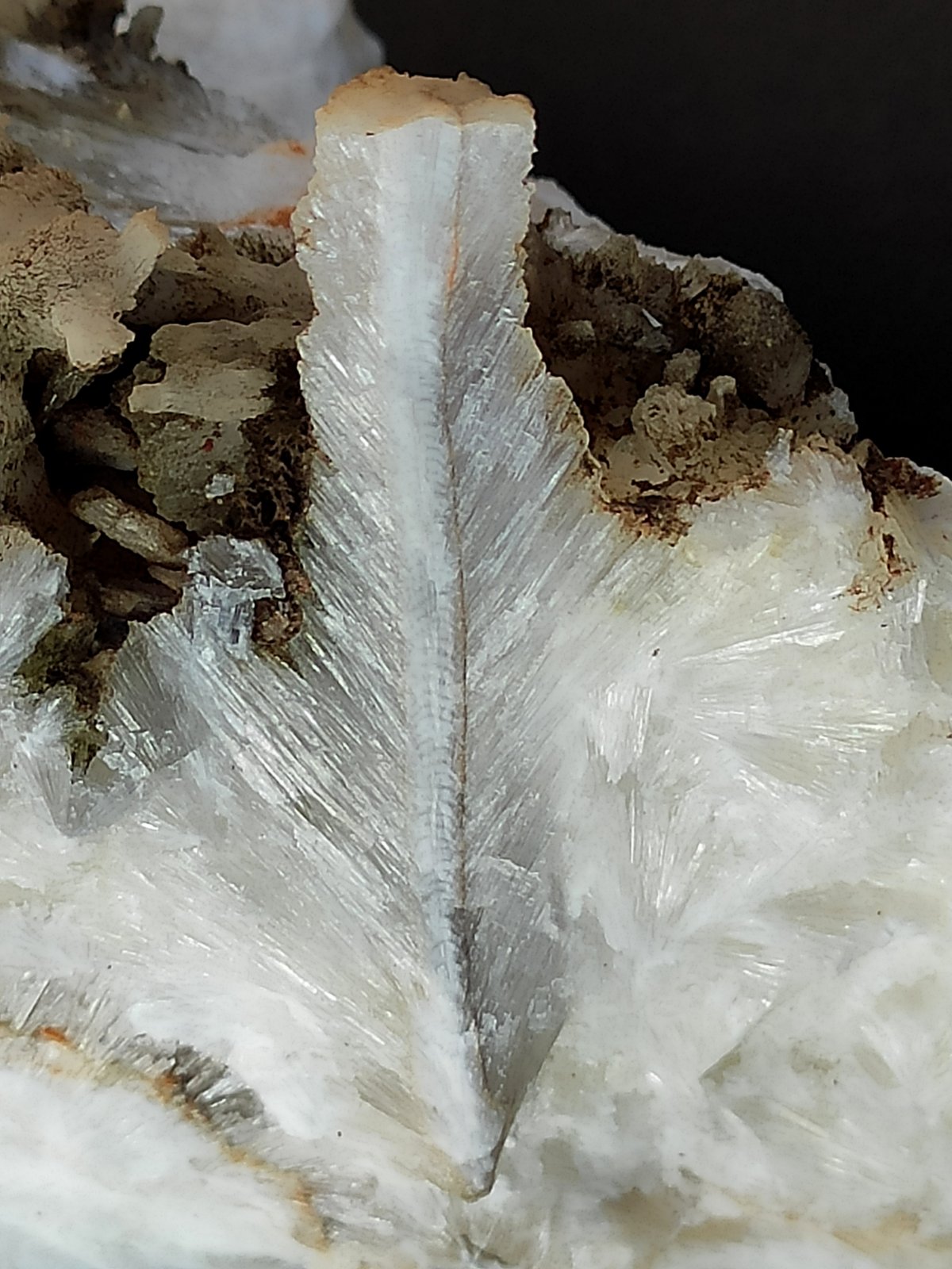 Aragonito
2,9 x 0,5 x 0,5 cm
(Autor: Anisio Claudio)