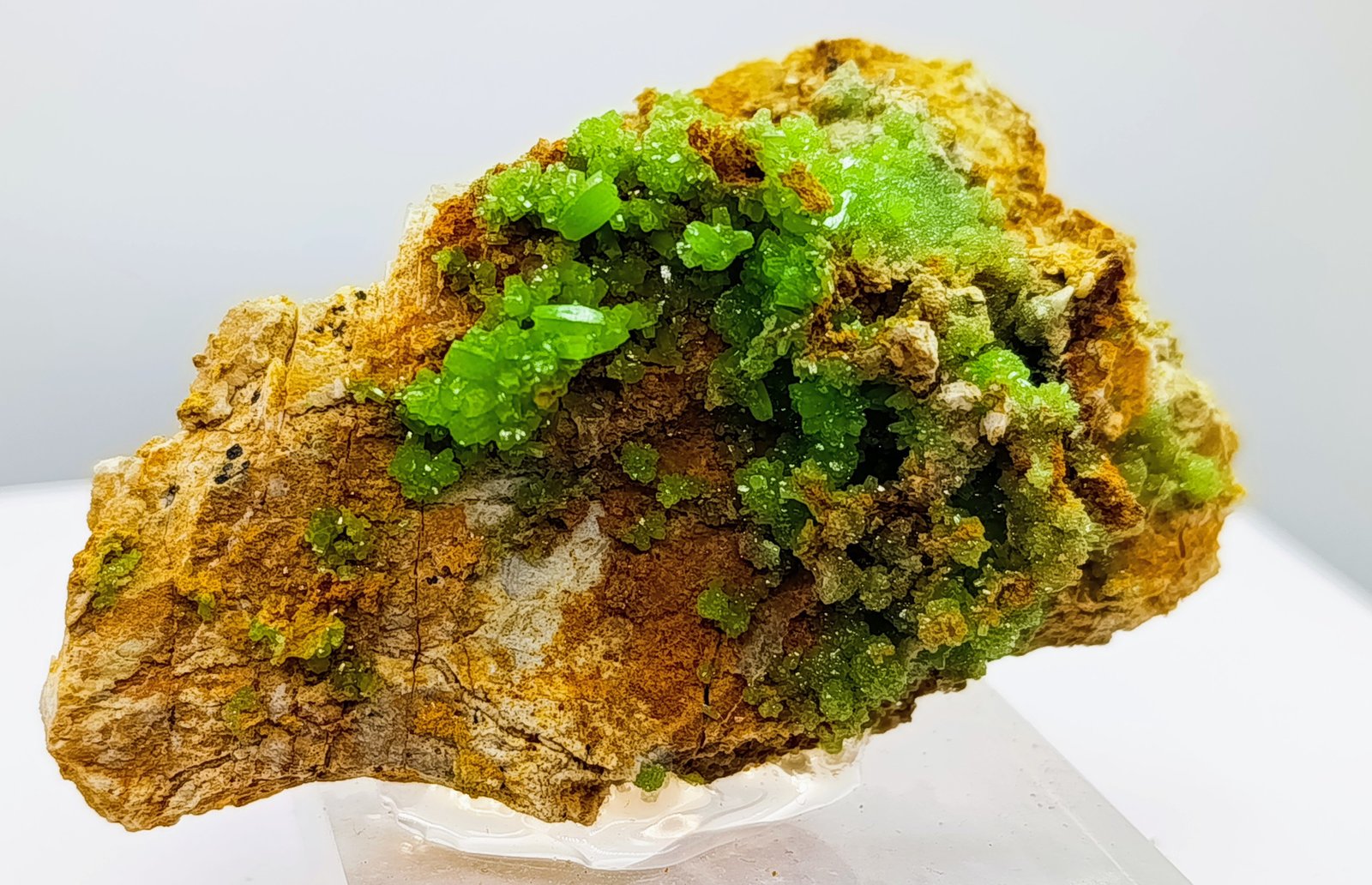 Piromorfita.
8x4
(Autor: AntonioJesus)