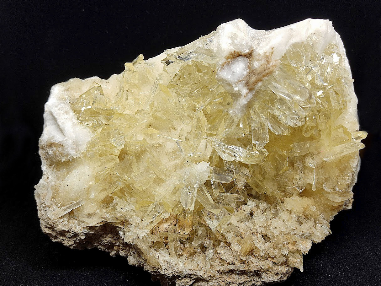 Yeso
16 cm
(Autor: Cesar M. Salvan)