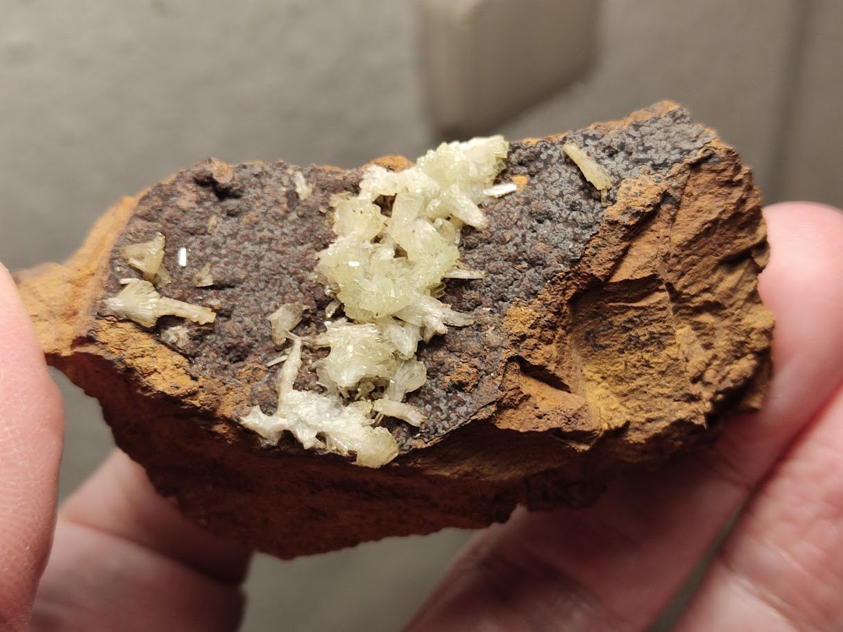Adamita
6 cm
(Autor: Cesar M. Salvan)