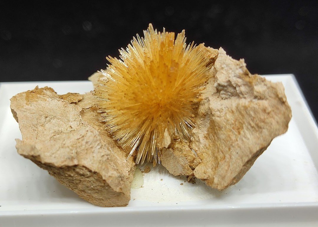 Aragonito
5 cm
(Autor: Cesar M. Salvan)