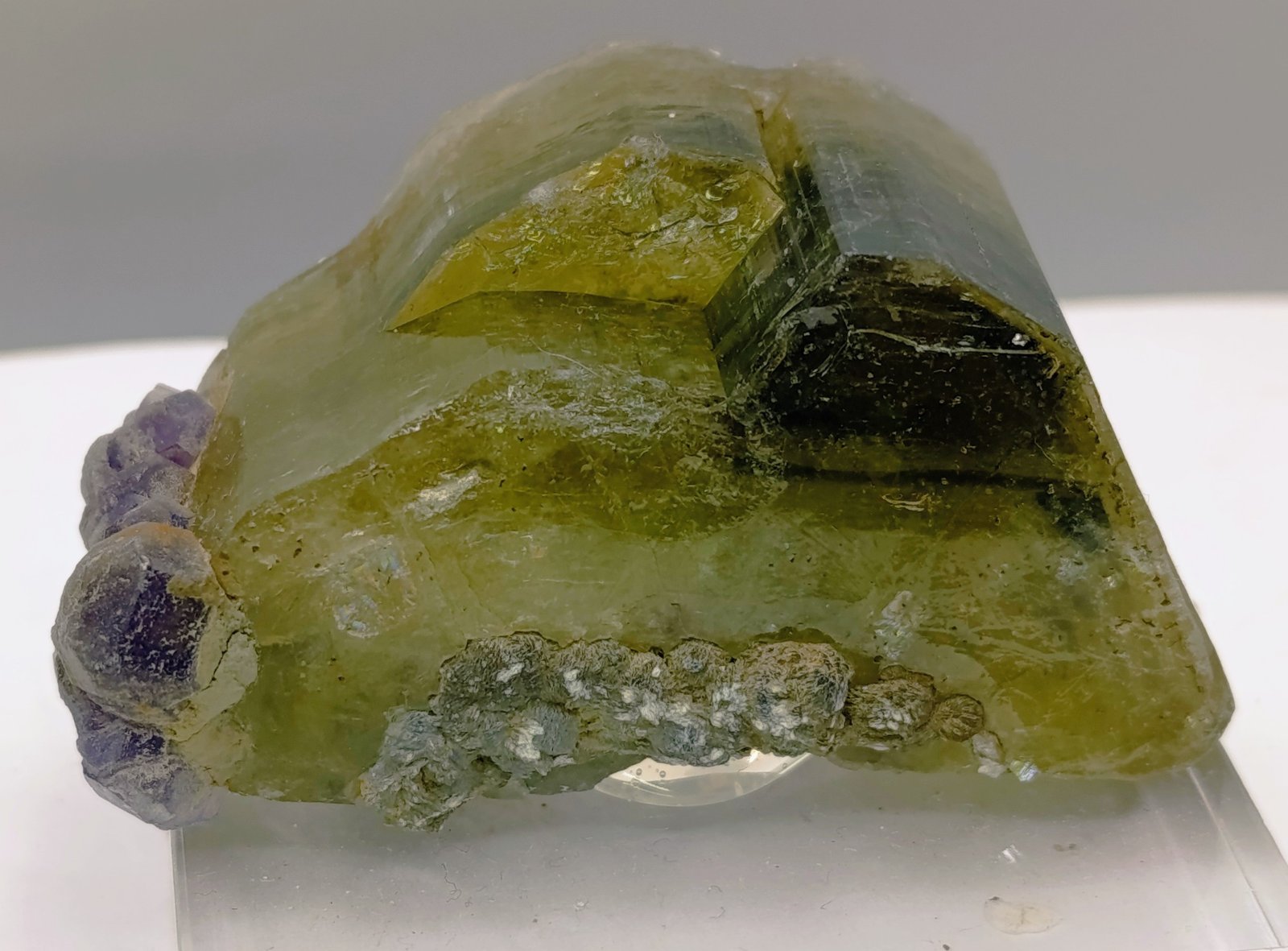 Fluorapatito y Fluorita
7x4 cm.
(Autor: AntonioJesus)