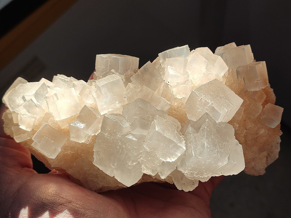 Halita
14 cm
(Autor: Cesar M. Salvan)