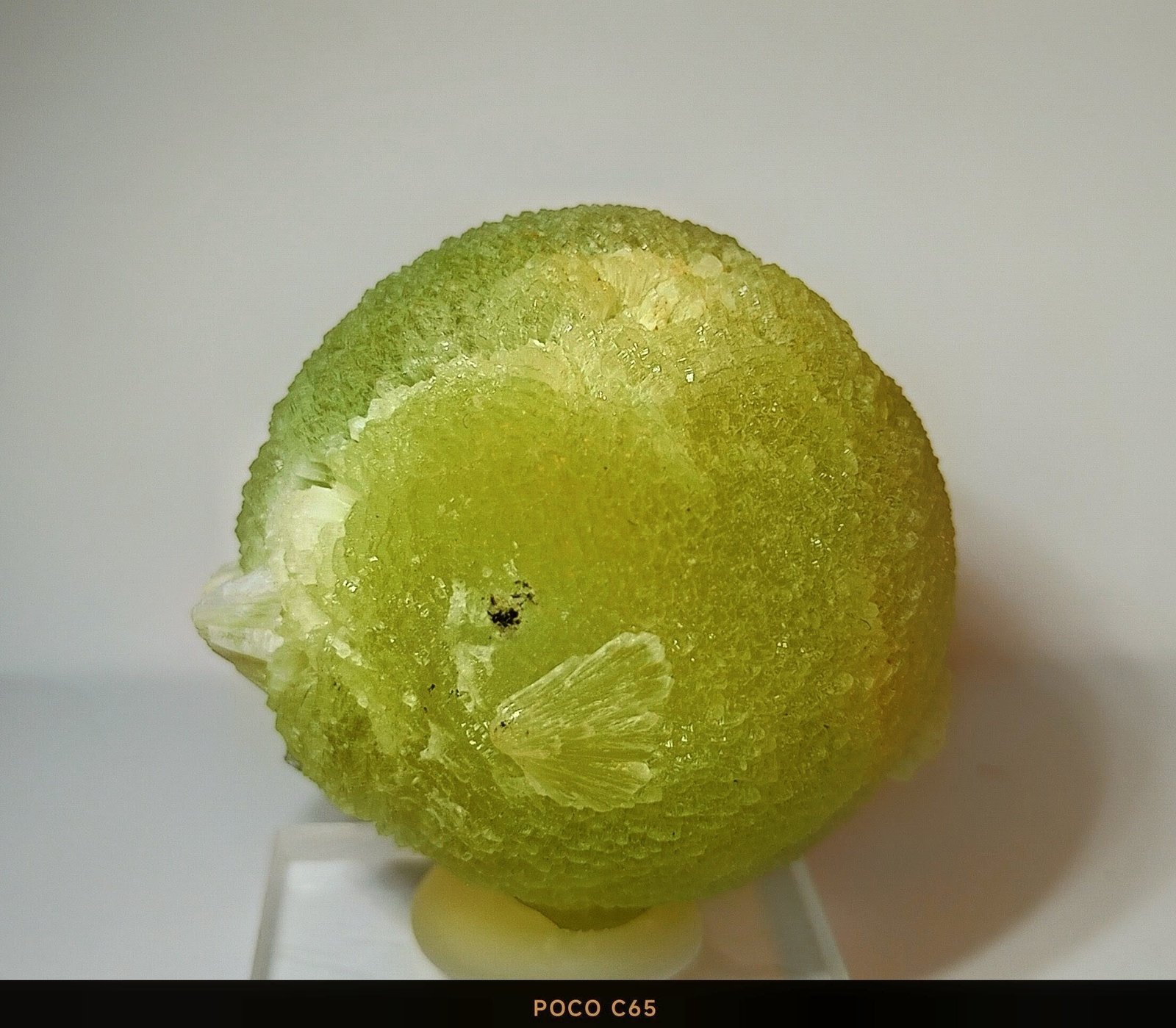 Prehnita
3,5 cm. de diámetro.
(Autor: Felipe Abolafia)