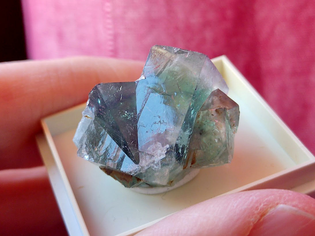 Fluorita
2.5 cm
(Autor: Cesar M. Salvan)