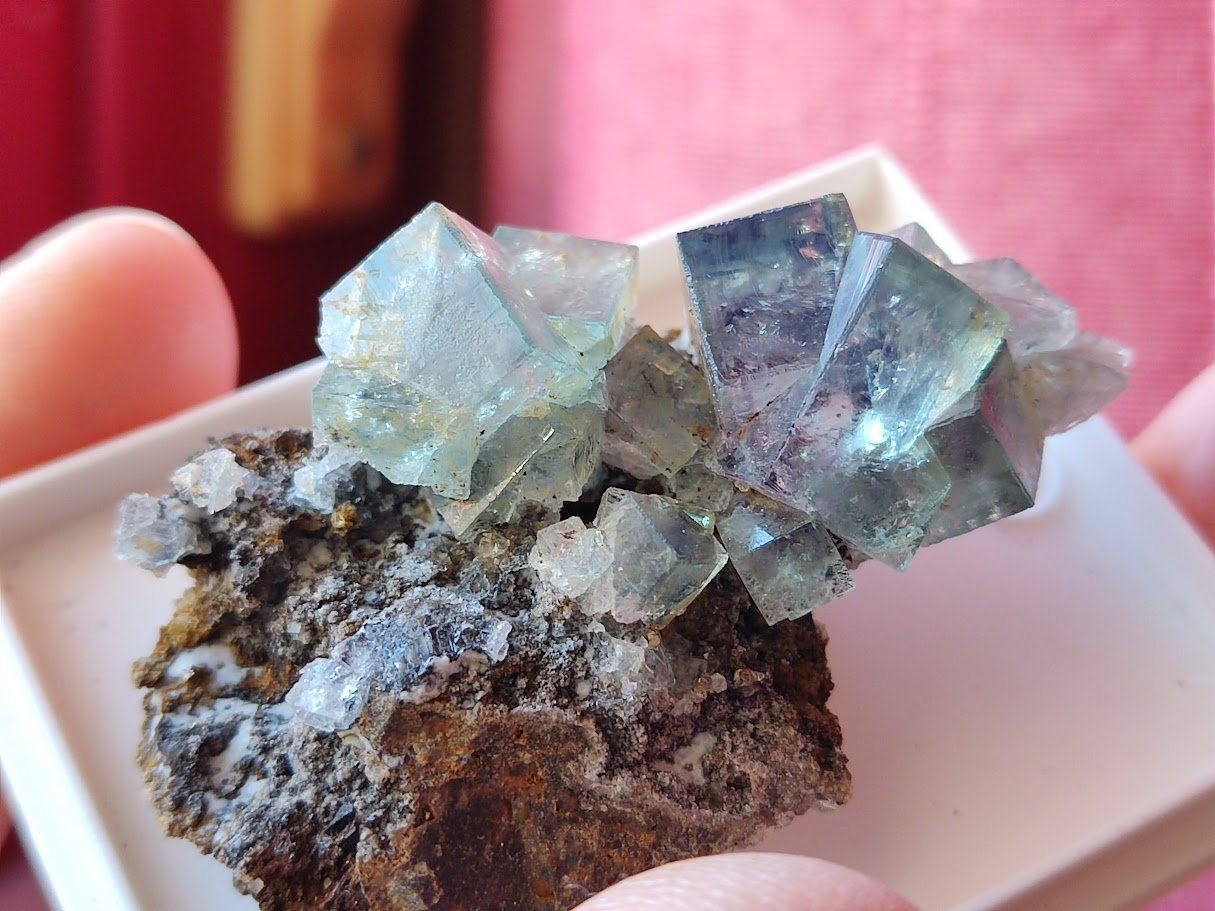 Fluorita
5 cm
(Autor: Cesar M. Salvan)