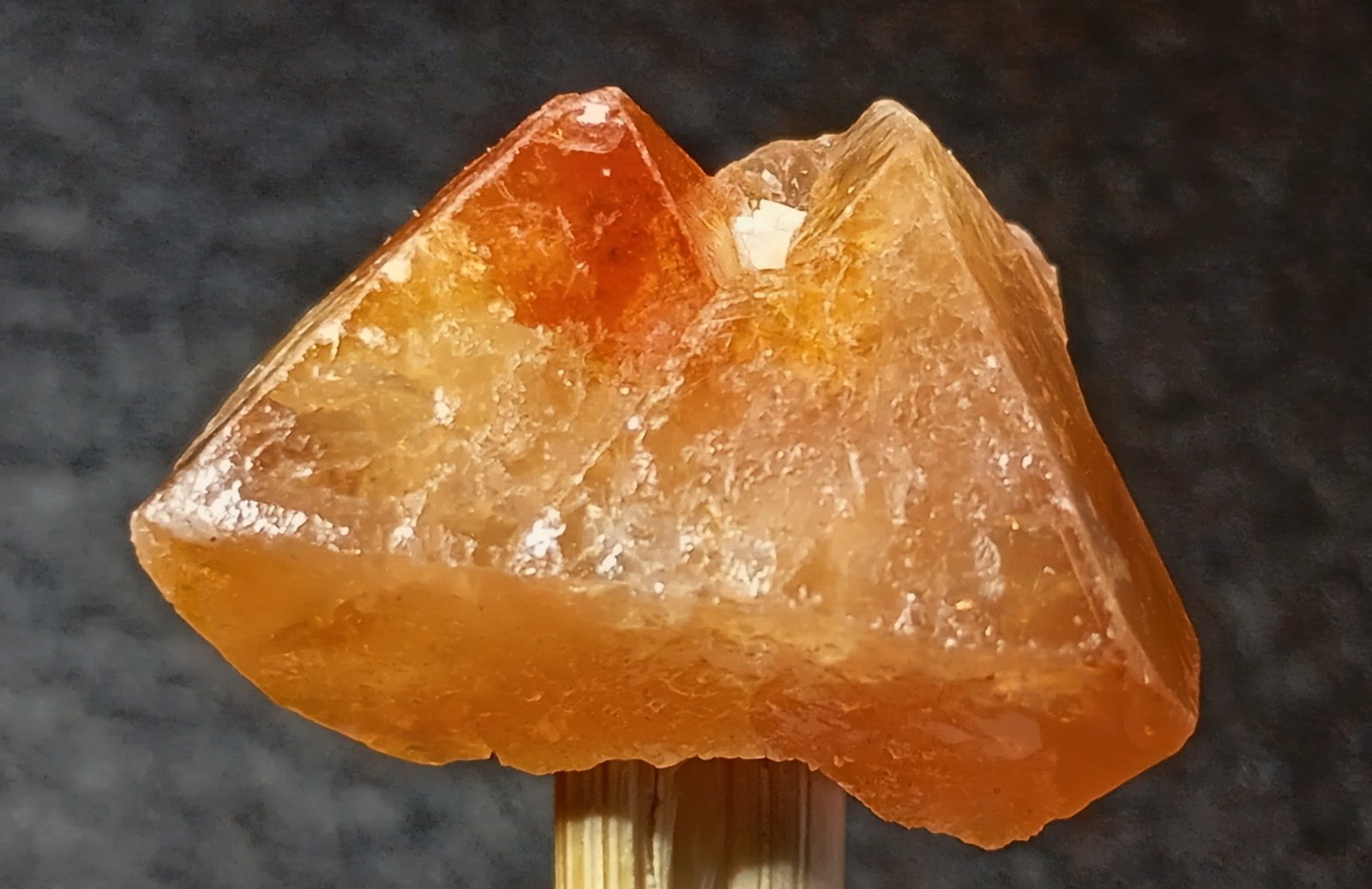 Scheelita
2,5 x 1,5 cm.
(Autor: Felipe Abolafia)