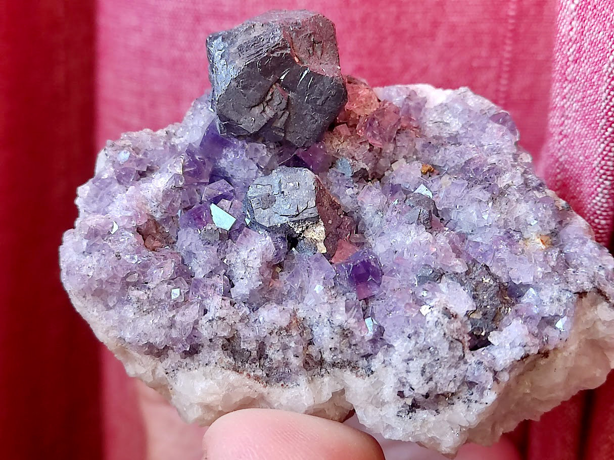 Galena y Fluorita
Cristal 1.7 cm
(Autor: Cesar M. Salvan)