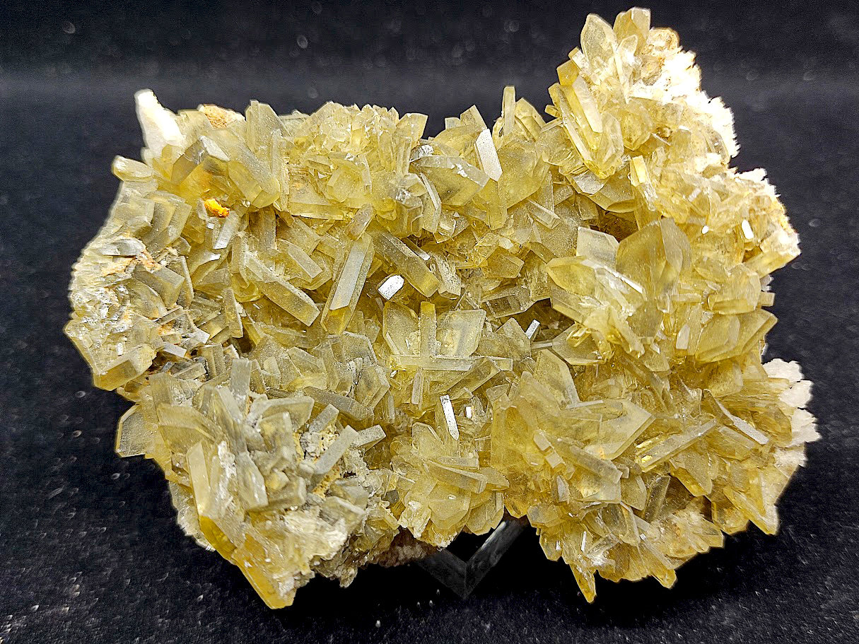 Barita
8 cm
(Autor: Cesar M. Salvan)