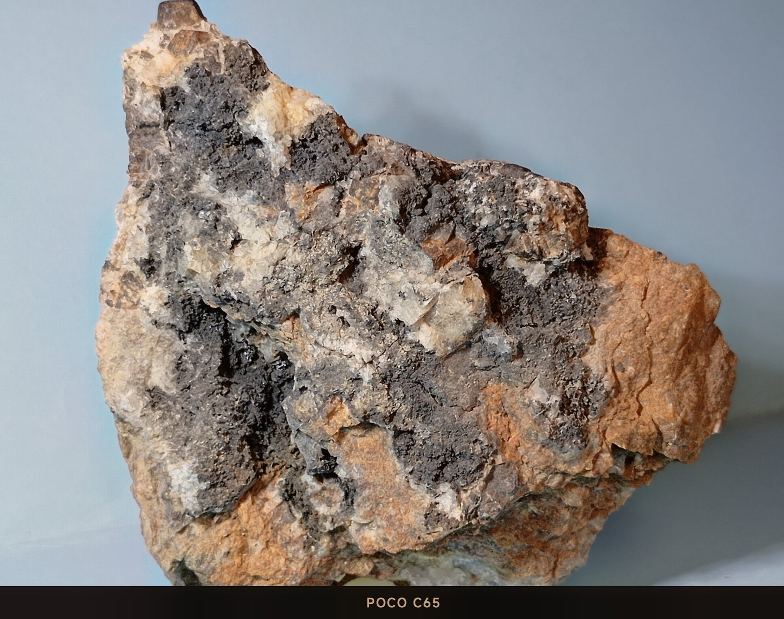 Tenorita
7 x 7 cm.
(Autor: Felipe Abolafia)