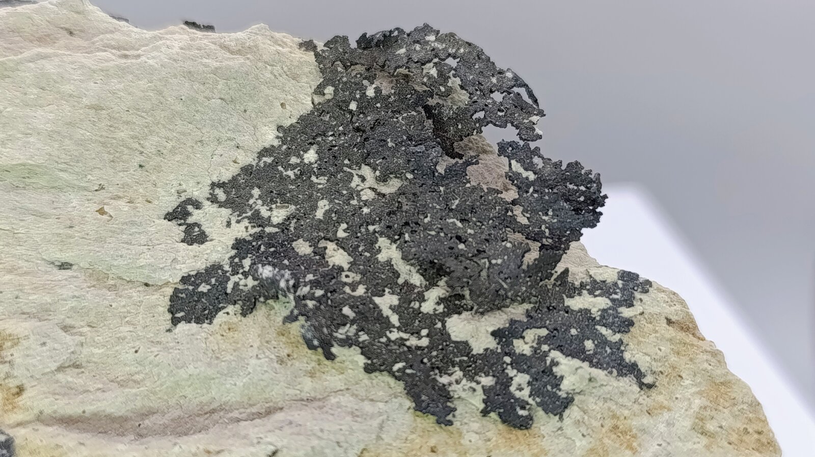Plata nativa.
Mina Los Bordos, Zona minera Elisa de Bordos, Pabellón, Provincia Copiapó, Región Atacama, Chile
10x7 cm
(Autor: AntonioJesus)