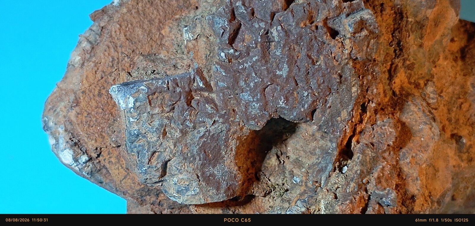 Galena
Afloramiento filón de galena, Carretera A-32 de incorporación a la Autovía E-902, Linares, Comarca Sierra Morena, Jaén, Andalucía, España
10 x 5,5 x 11 cm.
(Autor: Felipe Abolafia)