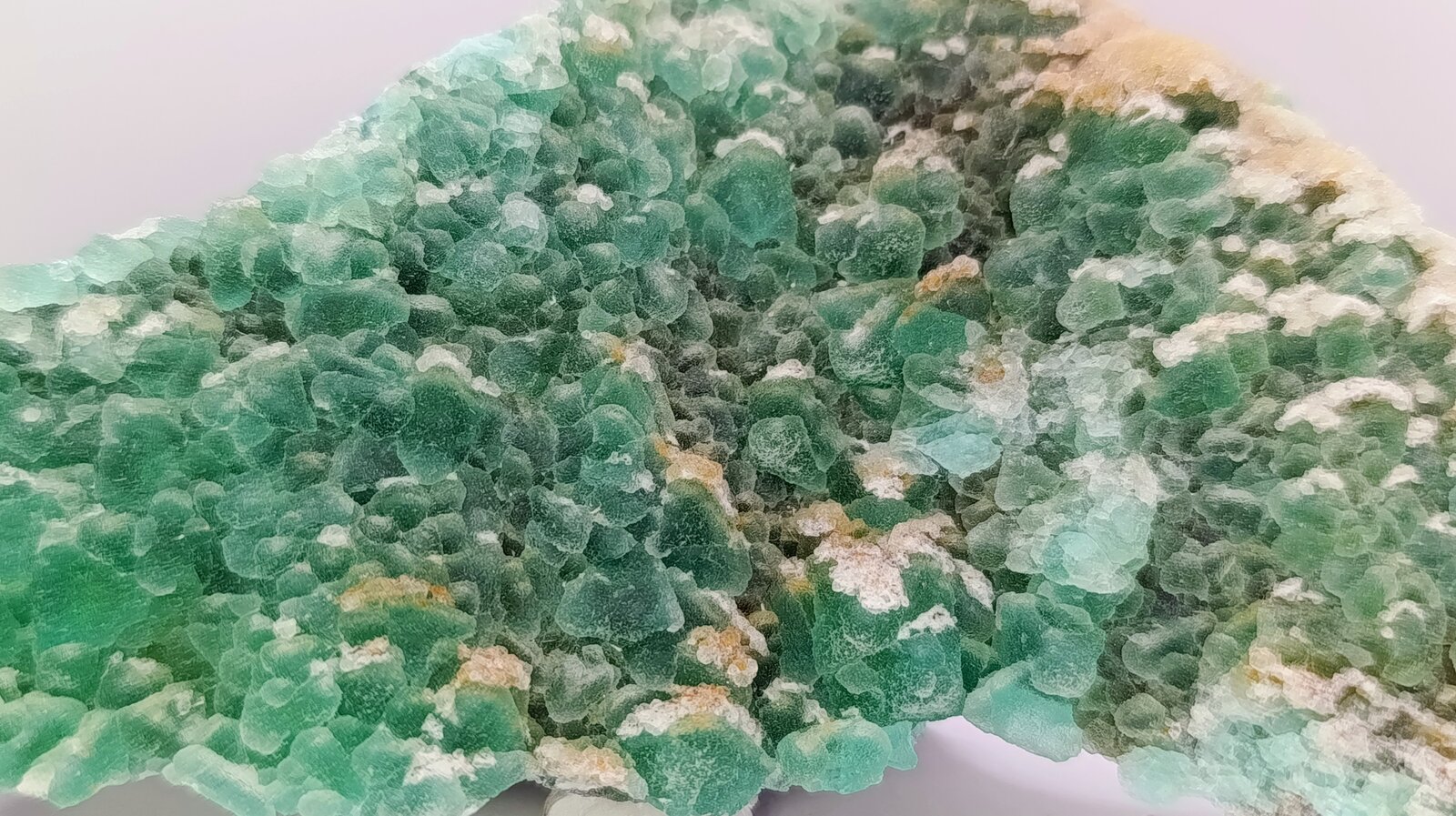 Fluorita
Pedrera Berta, Turó Can Domènech, Serra Roques Blanques, Sant Cugat del Vallès-El Papiol, Comarca Vallès Occidental / Baix Llobregat, Barcelona, Catalunya / Cataluña, España
14x8'5 cm
(Autor: AntonioJesus)