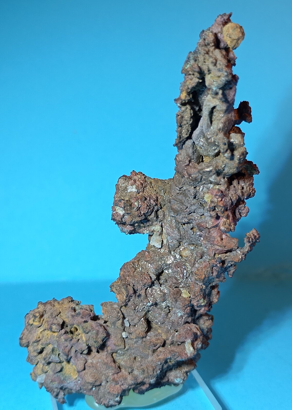 Cobre
Zona minera Oumjrane, Comunidad Alnif, Provincia Tinghir, Región Drâa-Tafilalet, Marruecos
4 x 7 x 2 cm.
(Autor: Felipe Abolafia)