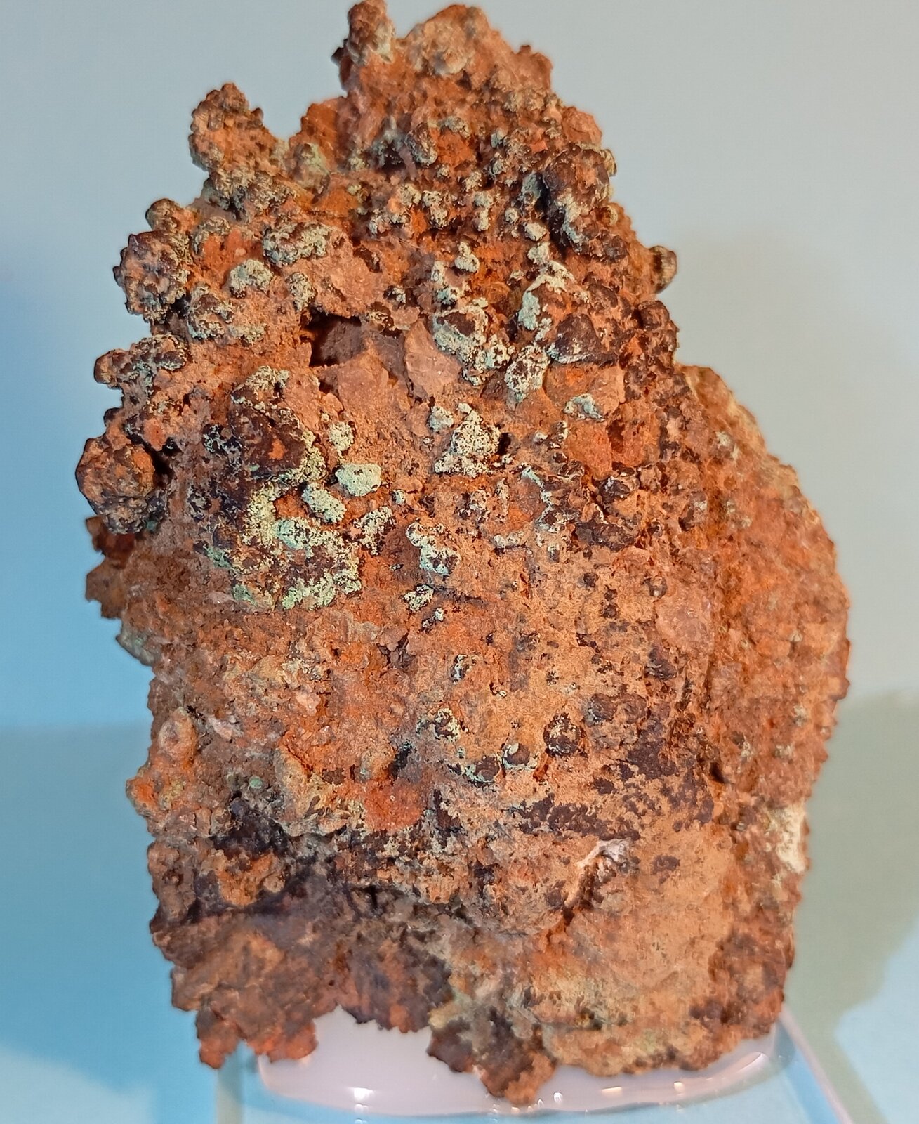 Cobre
Minas de El Horcajo, El Horcajo, Almodóvar del Campo, Comarca Campo de Calatrava, Ciudad Real, Castilla-La Mancha, España
5 x 6,5 x 3 cm
(Autor: Felipe Abolafia)