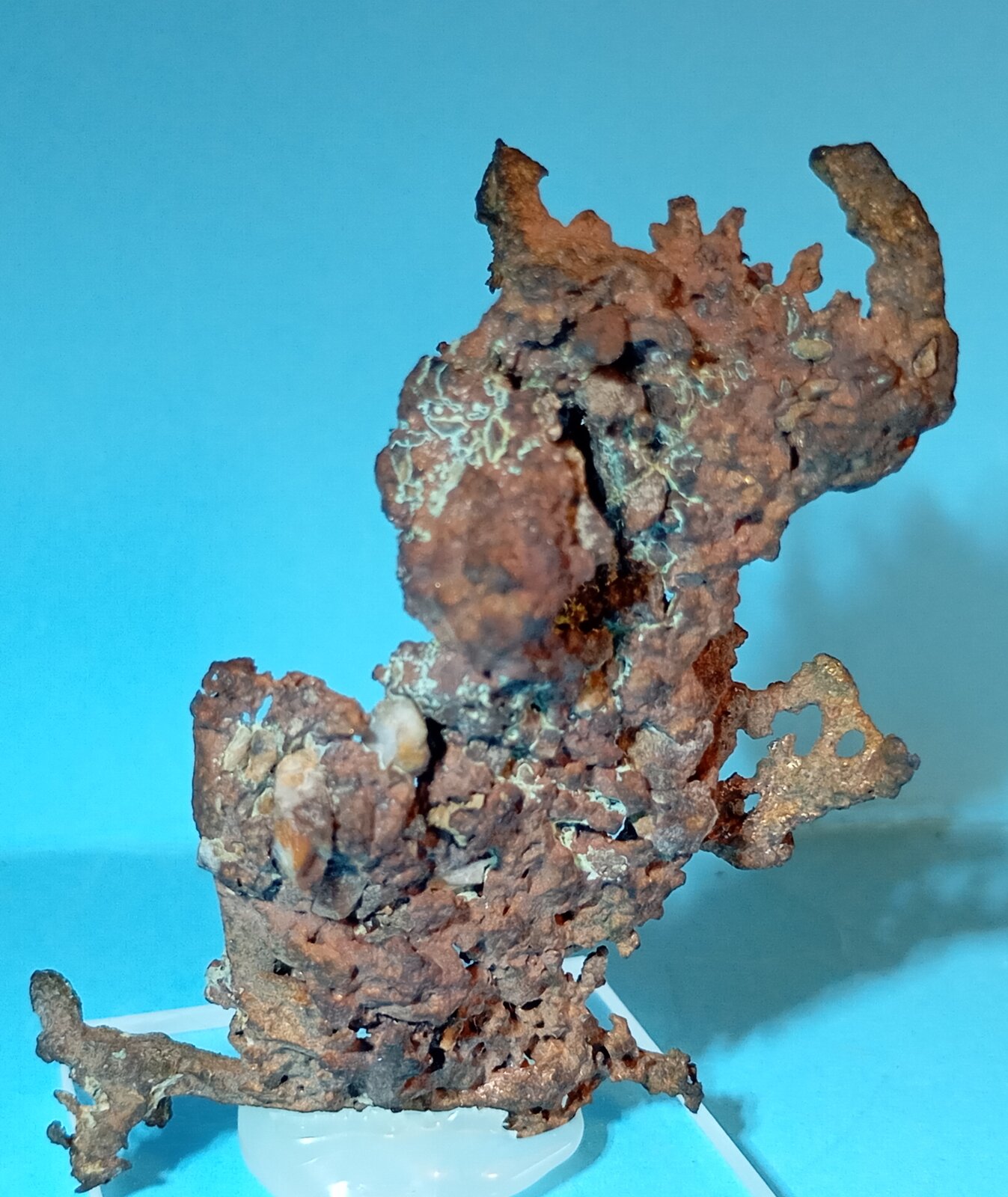 Cobre
Minas de Herrerías, corta Santa Bárbara, Puebla de Guzmán, Comarca El Andévalo, Huelva, Andalucía, España
6 x 3 cm.
(Autor: Felipe Abolafia)