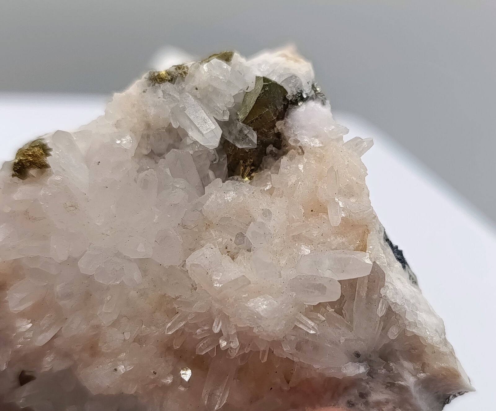 Rodocrosita, cuarzo y calcopirita.
Mina Uchucchacua, Provincia Oyón, Departamento Lima, Perú
6x4 cm
(Autor: AntonioJesus)