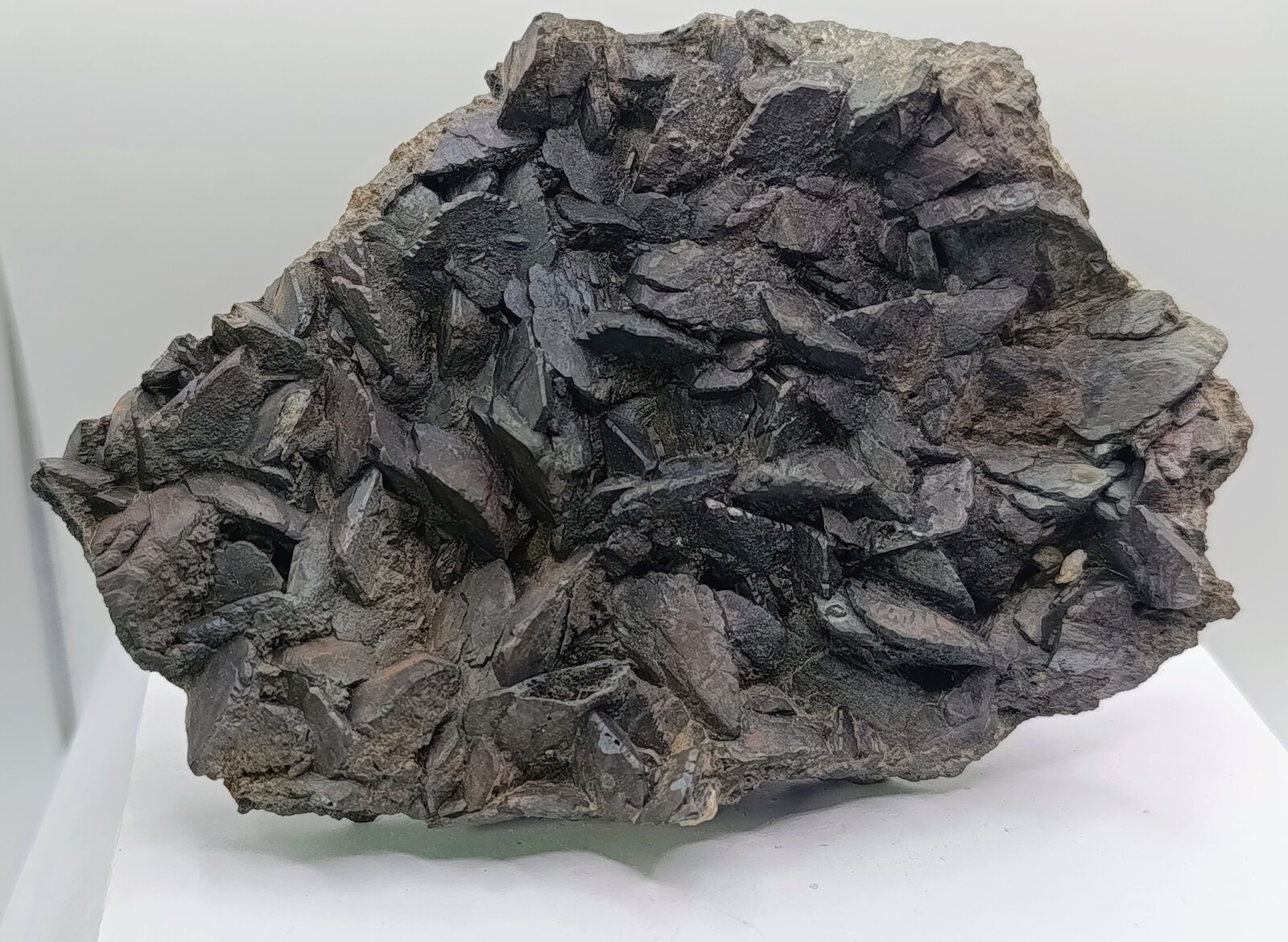 Siderita con Goethita.
Villaricos, Cuevas del Almanzora, Comarca Levante Almeriense, Almería, Andalucía, España
13x8 cm
(Autor: AntonioJesus)