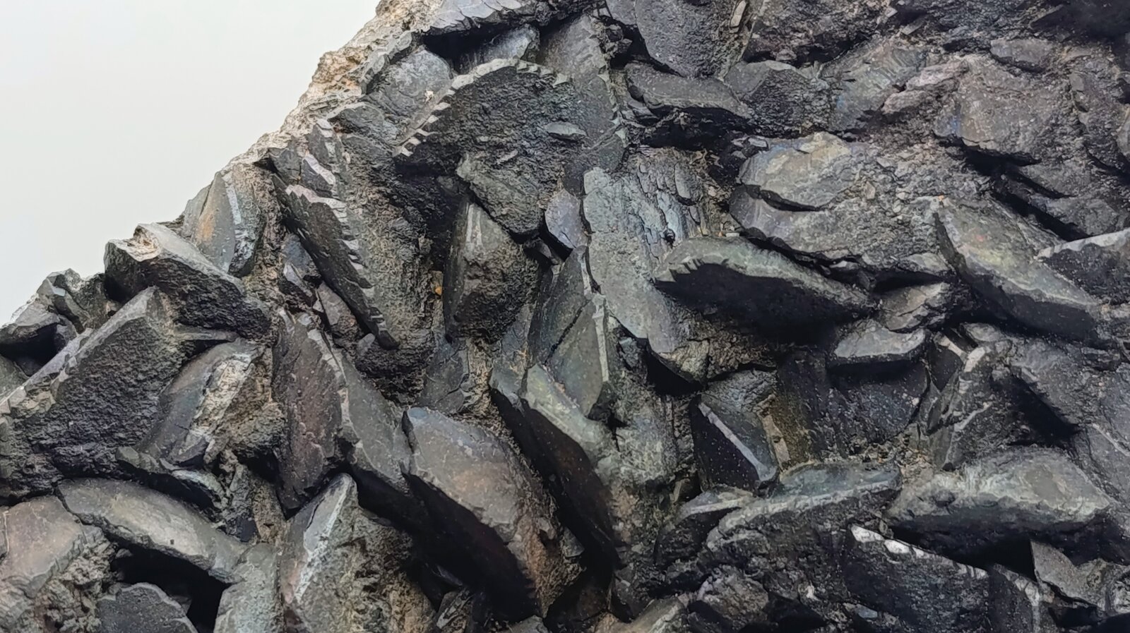 Siderita con Goethita.
Villaricos, Cuevas del Almanzora, Comarca Levante Almeriense, Almería, Andalucía, España
13x8 cm
(Autor: AntonioJesus)