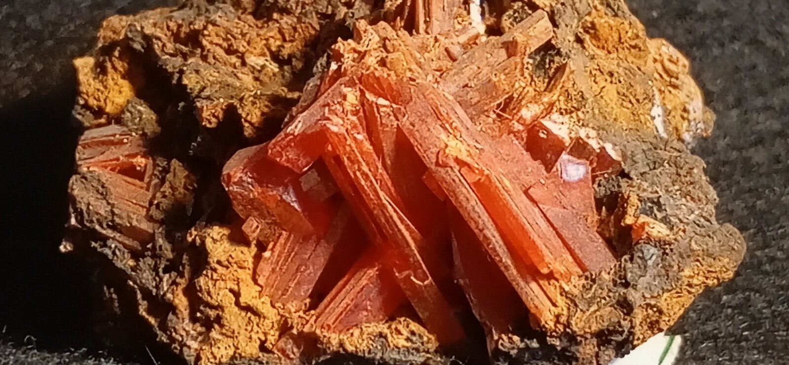 Crocoita
Mina Adelaide, Campo minero Dundas, Distrito Zeehan, Consejo Costa Oeste, Tasmania, Australia
4,5 x 2,5 cm.
(Autor: Felipe Abolafia)