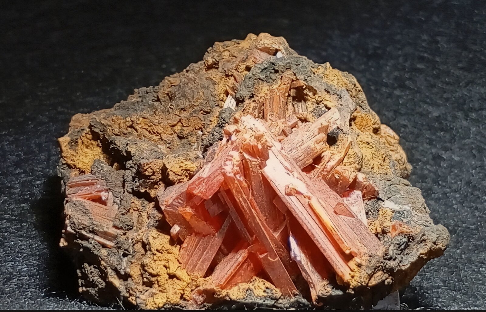 Crocoita
Mina Adelaide, Campo minero Dundas, Distrito Zeehan, Consejo Costa Oeste, Tasmania, Australia
4,5 x 2,5 cm.
(Autor: Felipe Abolafia)