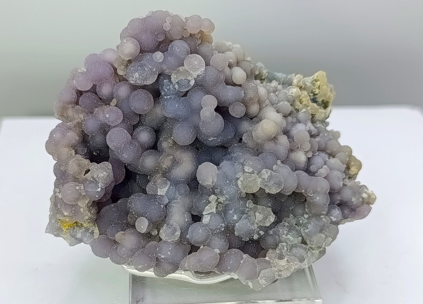 Cuarzo (variedad calcedonia)
Zona Mamuju, Provincia Sulawesi Barat, Indonesia
7x4 cm.
(Autor: AntonioJesus)