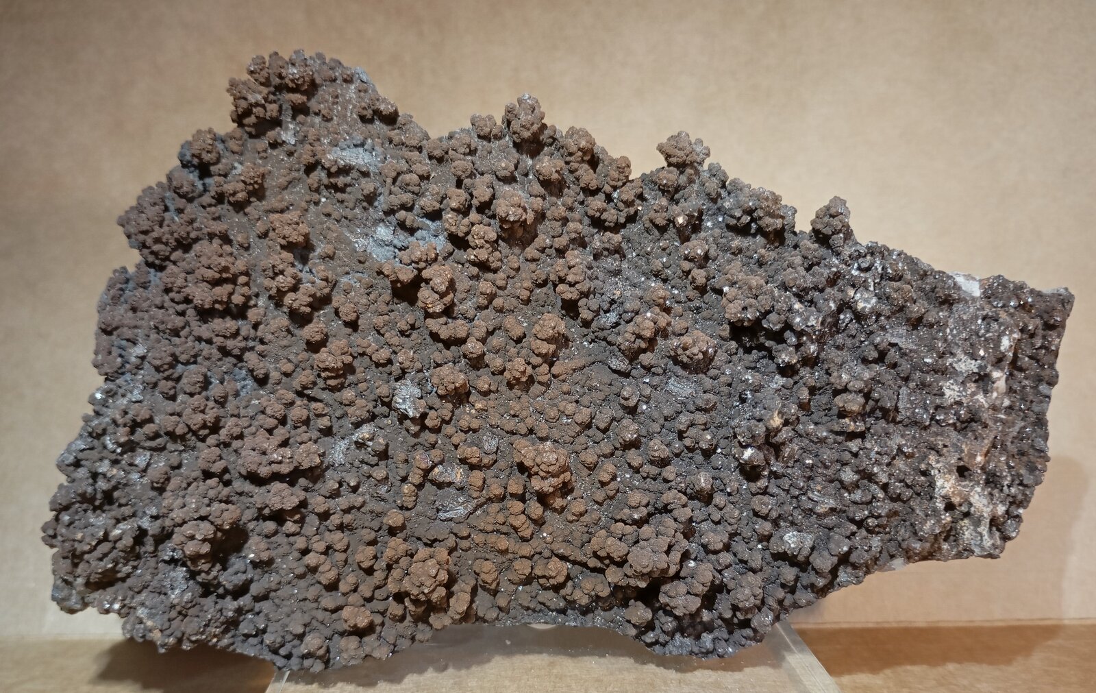 Barita (variedad botroidal)
Rio Tinto Mines, Minas de Riotinto, Comarca Cuenca Minera, Huelva, Andalusia, Spain
14 x 9 cm.
(Autor: Felipe Abolafia)