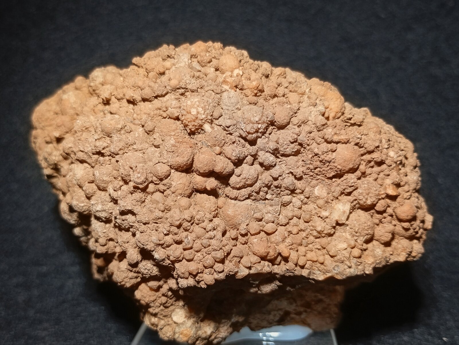 Cuarzo
Bailén, Comarca Sierra Morena, Jaén, Andalusia, Spain
10 x 6 x 5 cm.
(Autor: Felipe Abolafia)