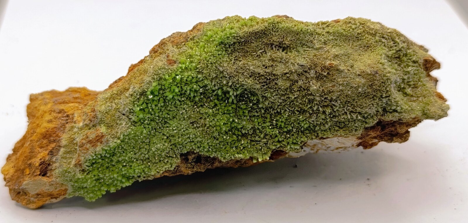Piromorfita.
Monte Bedures, Meredo, Vegadeo, Comarca Eo-Navia, Principality of Asturias (Asturias), Spain
9x3 cm
(Autor: AntonioJesus)