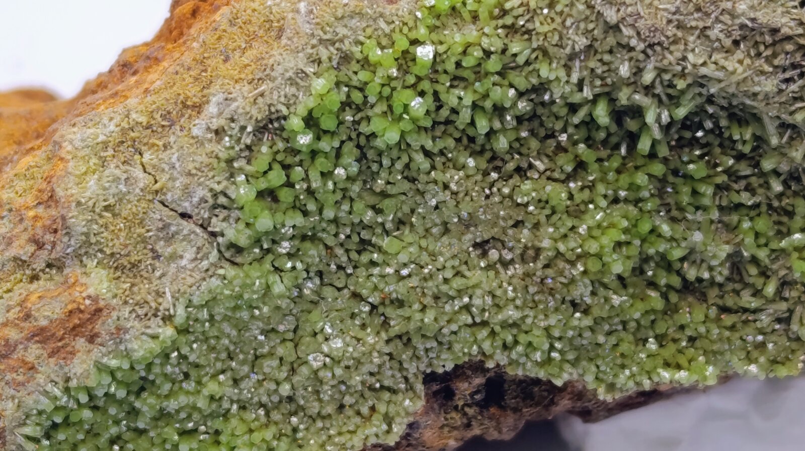 Piromorfita.
Monte Bedures, Meredo, Vegadeo, Comarca Eo-Navia, Principality of Asturias (Asturias), Spain
9x3 cm
(Autor: AntonioJesus)