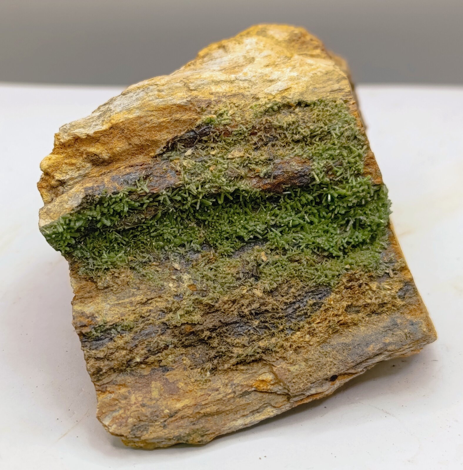 Piromorfita.
Montealegre Mines, Meredo, Vegadeo, Comarca Eo-Navia, Principality of Asturias (Asturias), Spain
8x4 cm
(Autor: AntonioJesus)