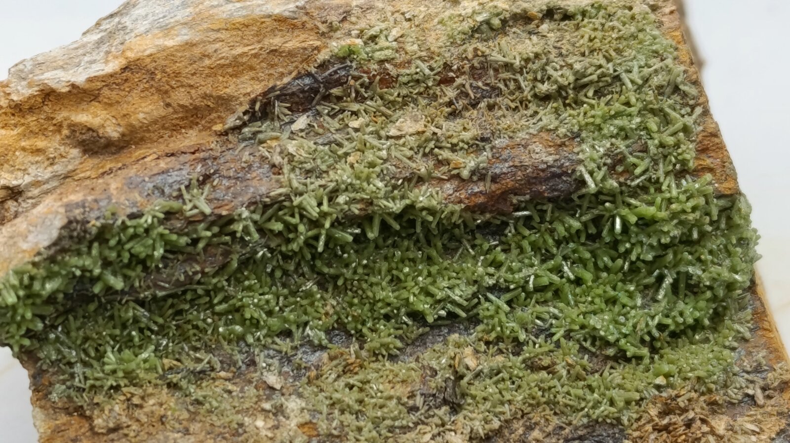 Piromorfita.
Montealegre Mines, Meredo, Vegadeo, Comarca Eo-Navia, Principality of Asturias (Asturias), Spain
8x4 cm
(Autor: AntonioJesus)