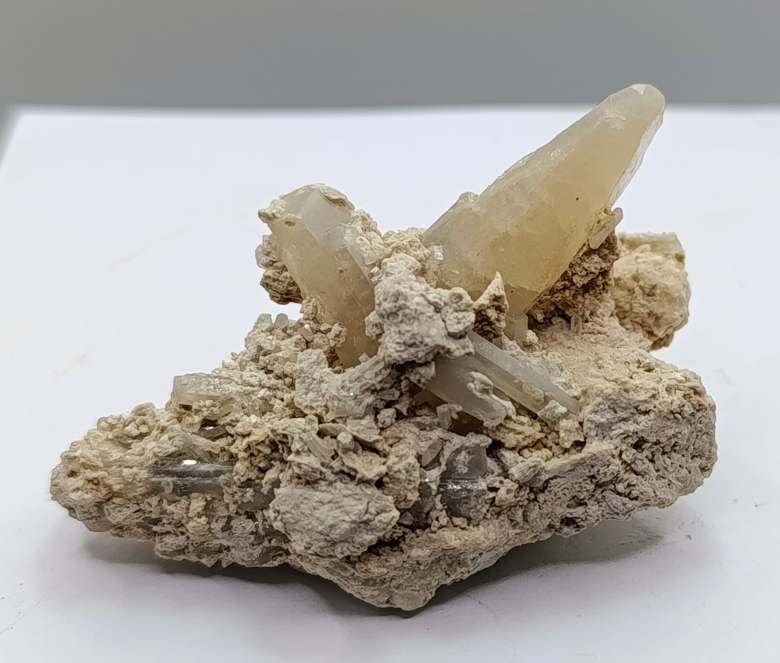 Celestina.
Yacimiento de Celestinas, Trasvase Tajo-Segura compuertas Hurchillo, Arneva, Orihuela, Comarca Vega Baja del Segura, Alicante / Alacant, Comunidad Valenciana / Comunitat Valenciana, España
7'5 x 4 cm
(Autor: AntonioJesus)