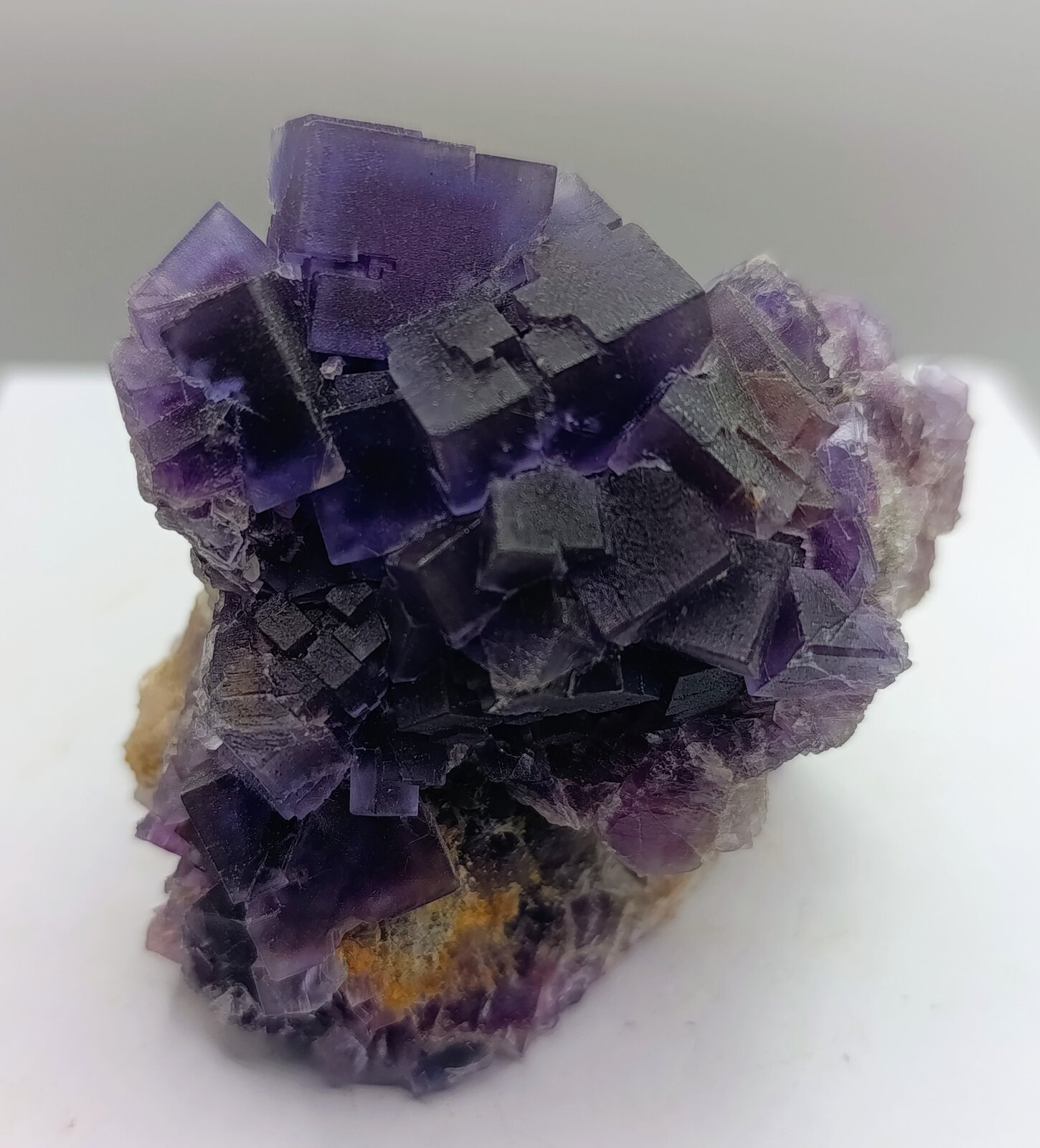 Fluorita morada.
Cuetu L'Aspa, zona minera de Berbes, Berbes, Ribadesella, Comarca del Oriente, Principado de Asturias (Asturias), España
7'5 x 5'5 cm
(Autor: AntonioJesus)
