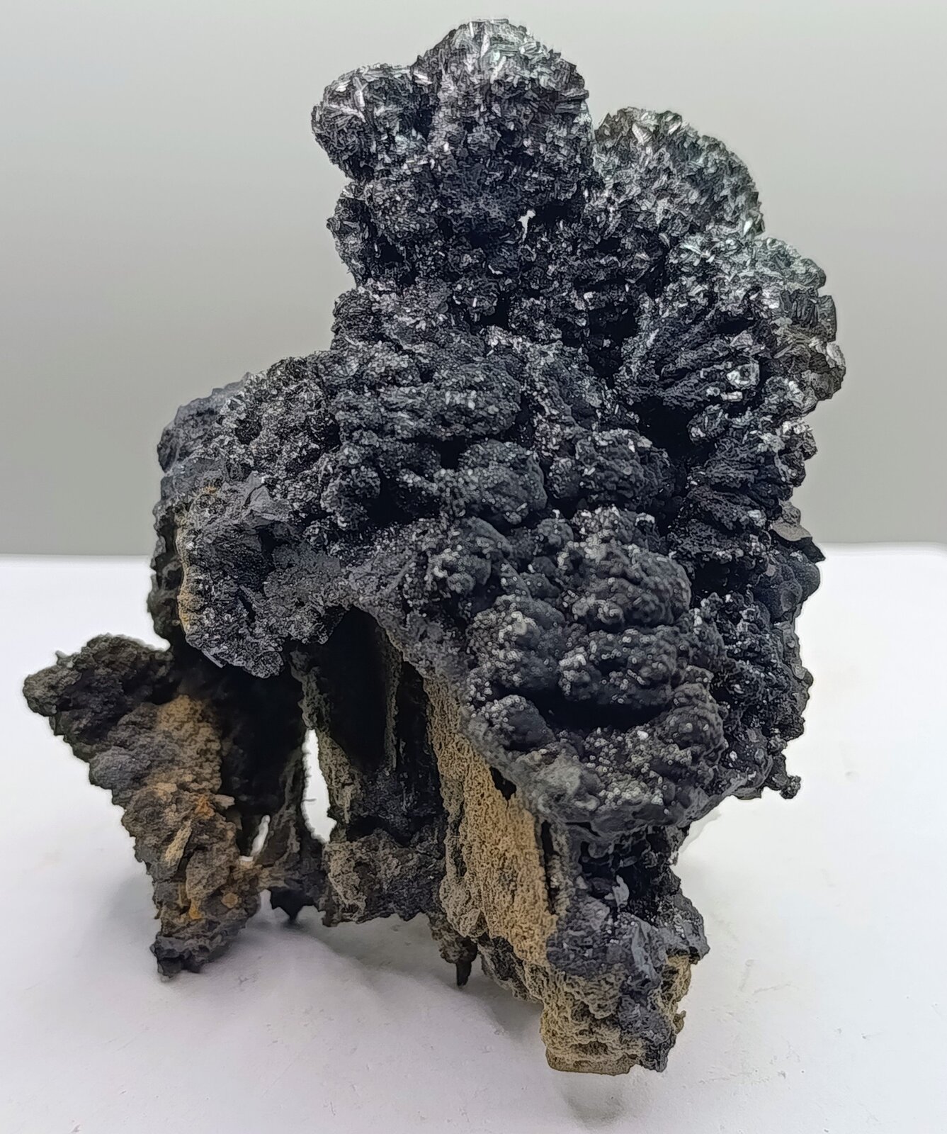 Pirolusita.
Haití Mine, Cabezo de San Ginés, San Ginés de la Jara, Cartagena, Comarca Campo de Cartagena, Region of Murcia (Murcia), Spain
9x7 cm
(Autor: AntonioJesus)