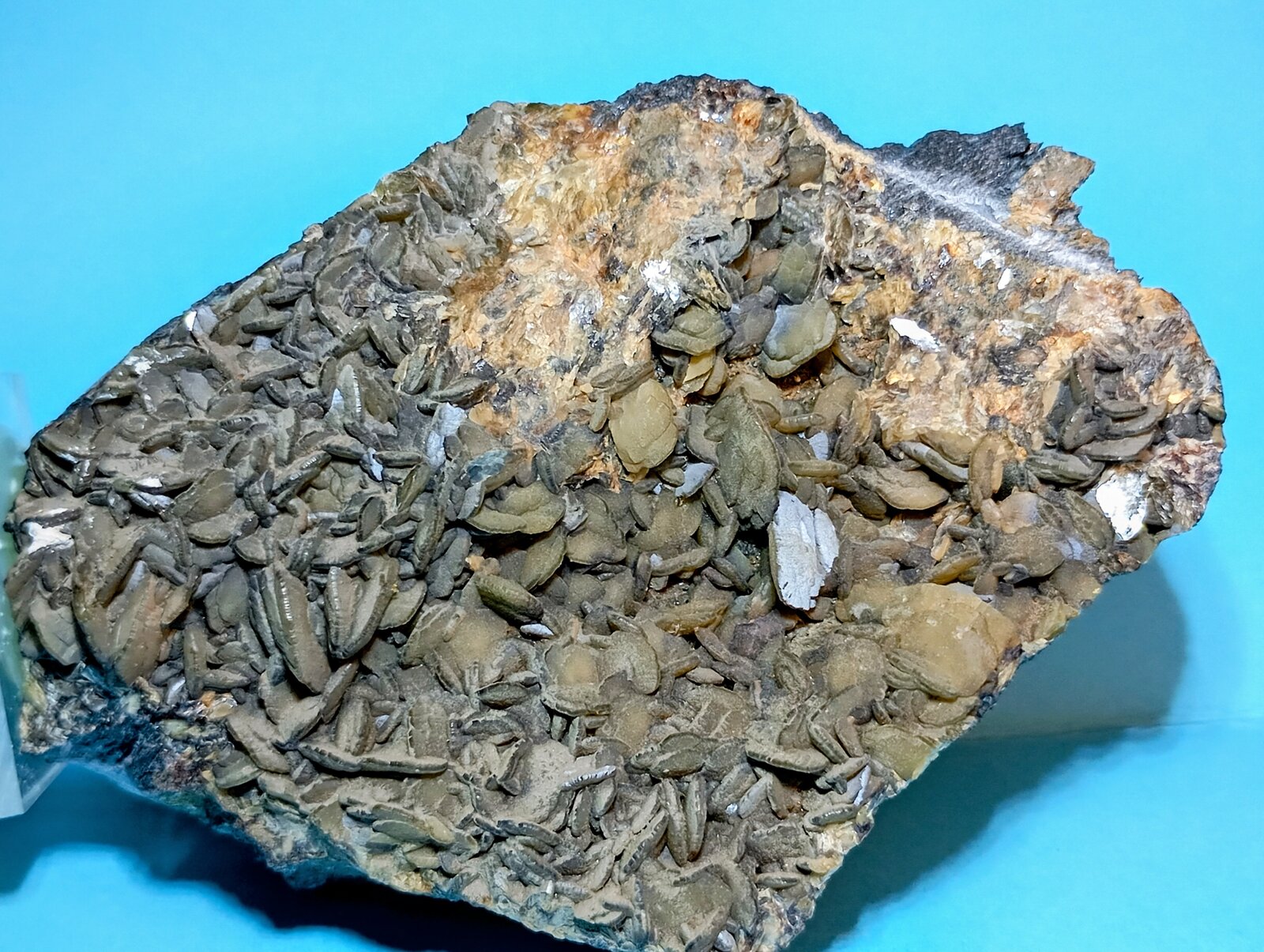 Siderita
Socavón Santa Bárbara (Túnel El Arteal), Sierra Almagrera, Cuevas del Almanzora, Comarca Levante Almeriense, Almería, Andalucía, España
8 x 6 x 4 cm.
(Autor: Felipe Abolafia)