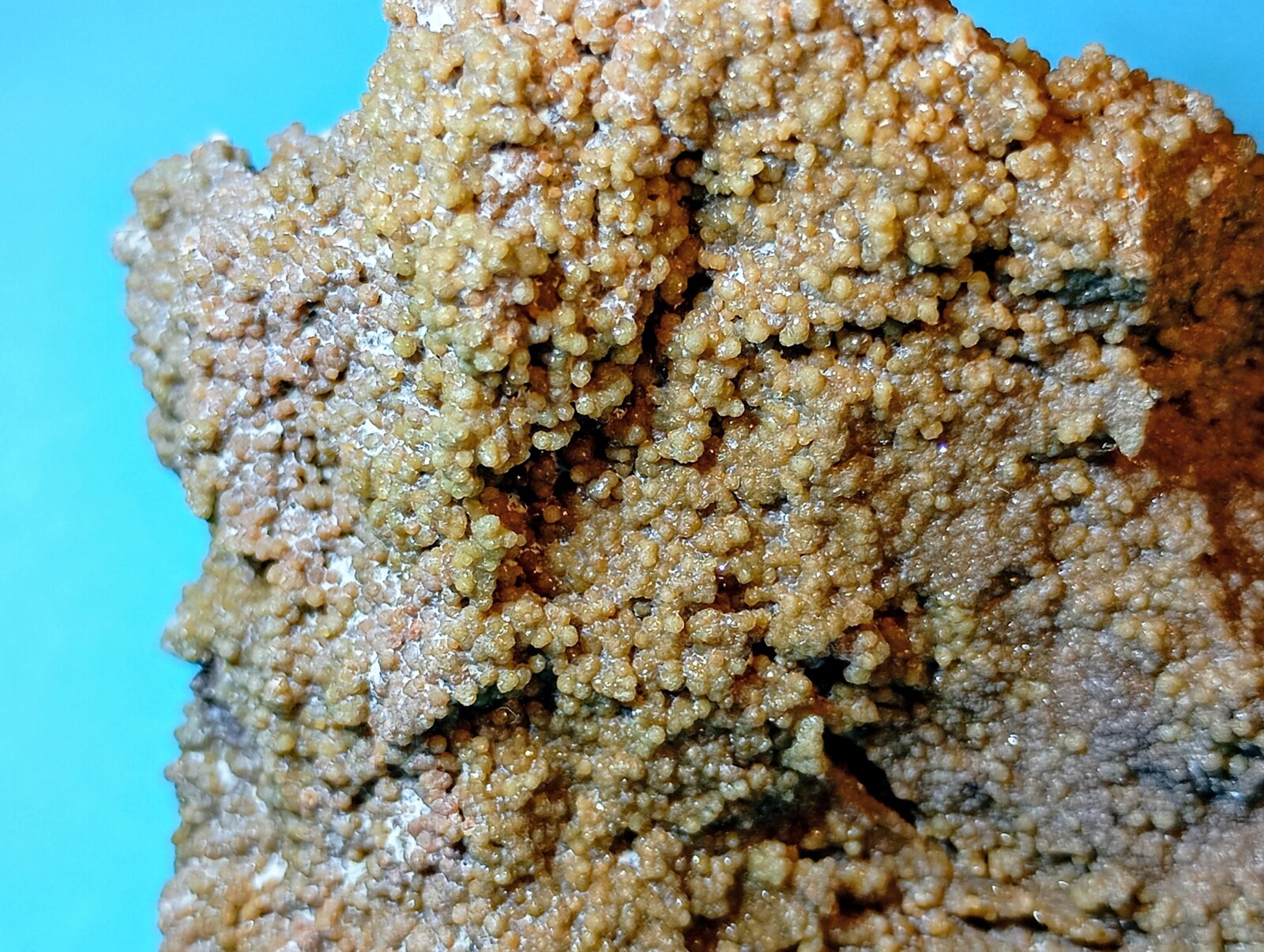 Siderita (variedad Sideroplesita)
La Cañada de Verich, Comarca del Bajo Aragón, Teruel, Aragón, España
6 x 6 x 5 cm.
(Autor: Felipe Abolafia)