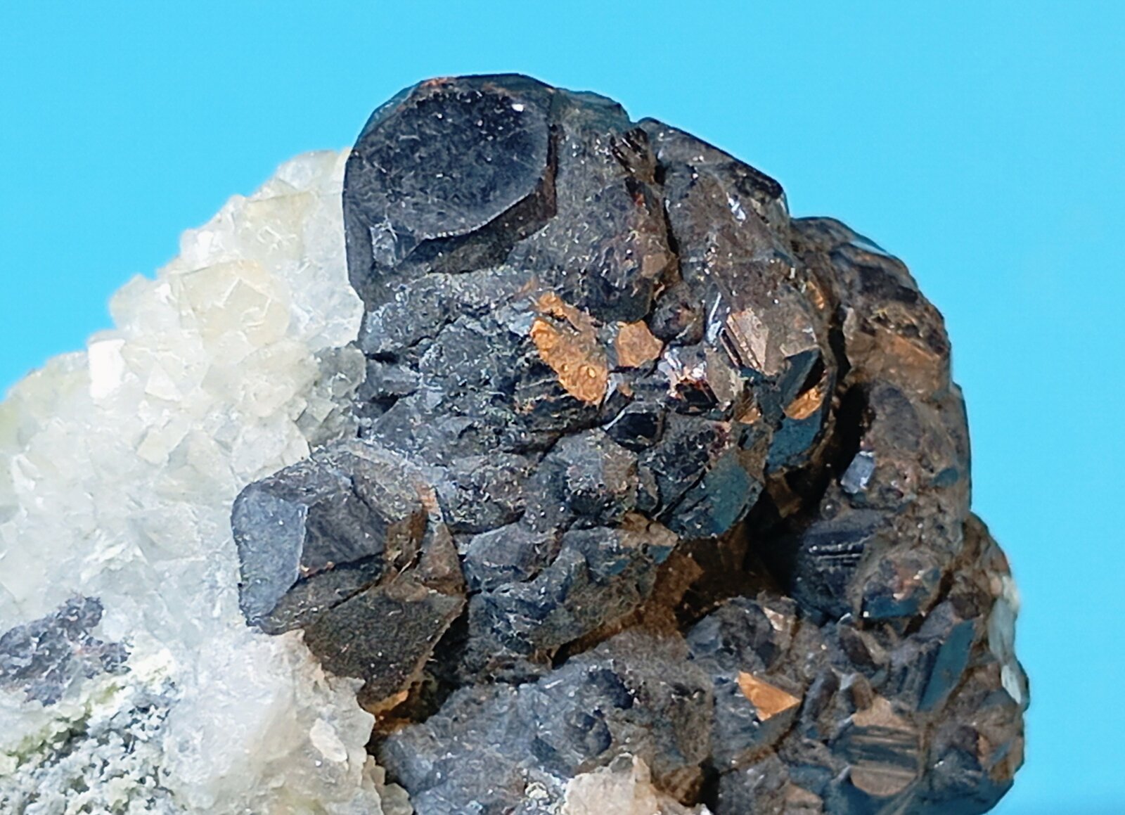 Esfalerita y cuarzo
Túnel José Maestre, Sierra Minera de Cartagena-La Unión, Portmán, La Unión, Comarca Campo de Cartagena, Región de Murcia (Murcia), España
4,5 x 3,5 cm
(Autor: Felipe Abolafia)