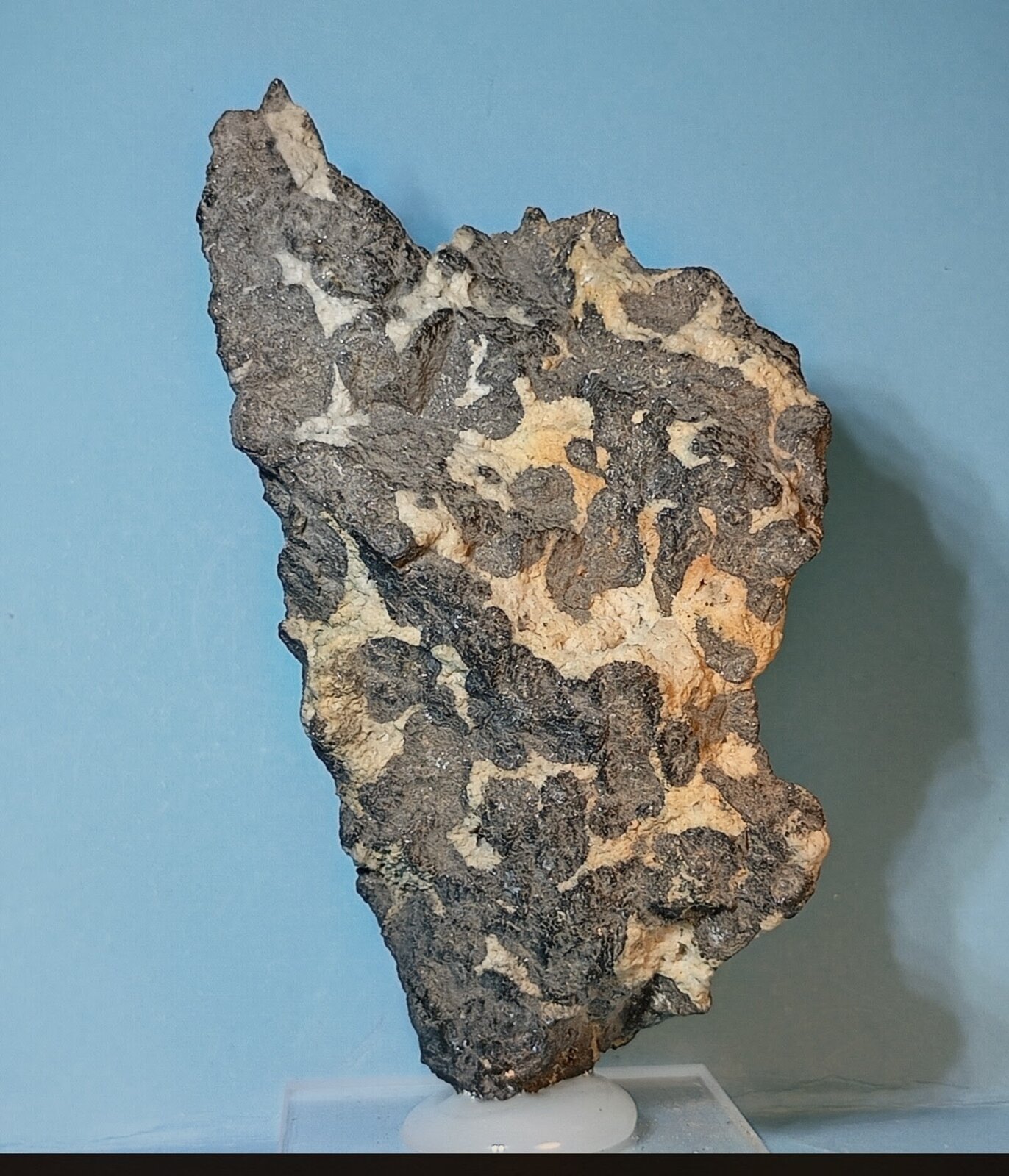 Esfalerita (variedad Marmatita)
Mina Reocín, Reocín, Municipio Reocín, Comarca Saja-Nansa, Cantabria, España
7,5 x 4 cm.
(Autor: Felipe Abolafia)