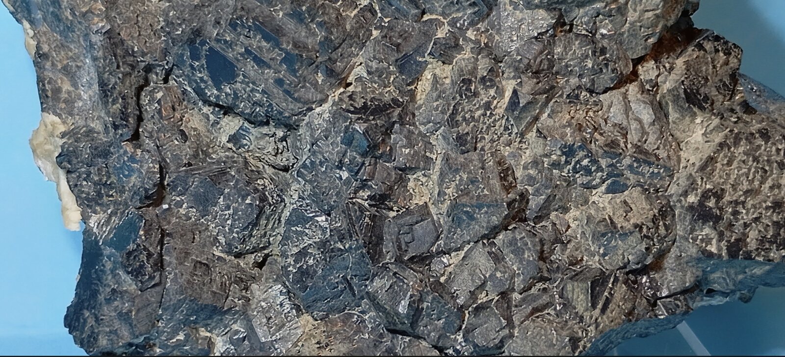 Esfalerita (variedad Marmatita)
Mina Malaespera, Barrio de la Peña, Bilbao, Comarca Gran Bilbao, Vizcaya / Bizkaia, País Vasco (Euskadi), España
7 x 6 cm
(Autor: Felipe Abolafia)